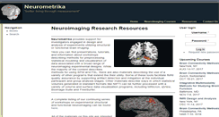 Desktop Screenshot of neurometrika.org